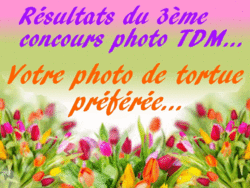 Qui est en ligne ?