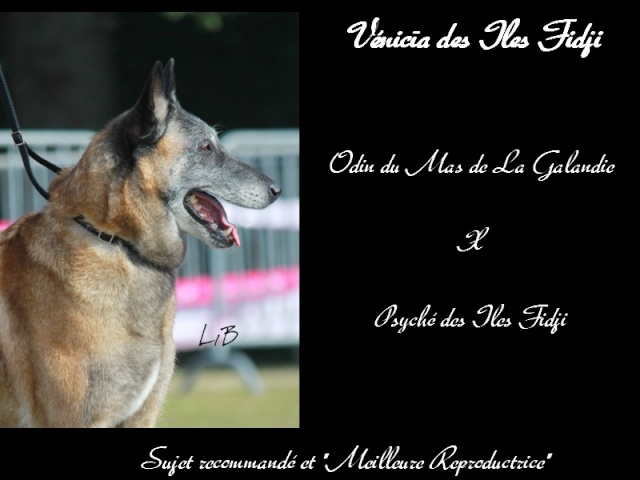 Image hberge par servimg.com