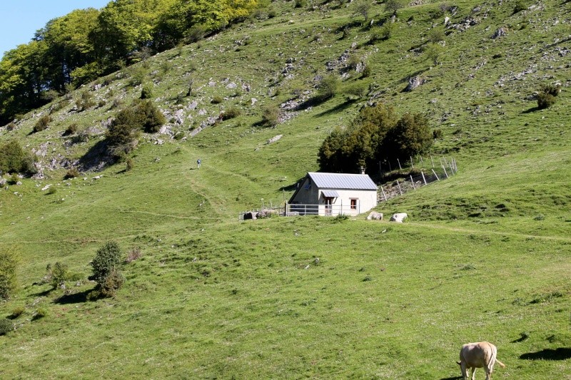 montagne qui ne se rencontre pas