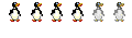 Pro oiseaux Pro oiseaux
