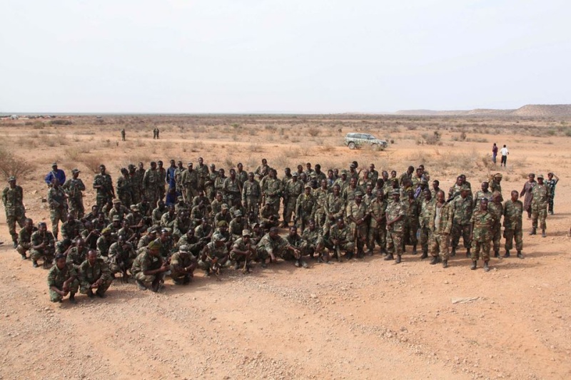 Ethiopian National Defense Force Endf 0240