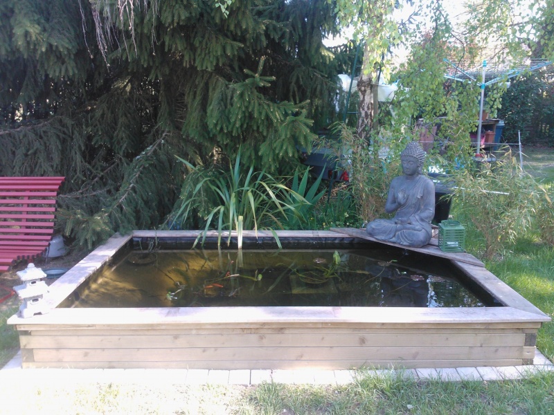 bassin de jardin semi-enterre