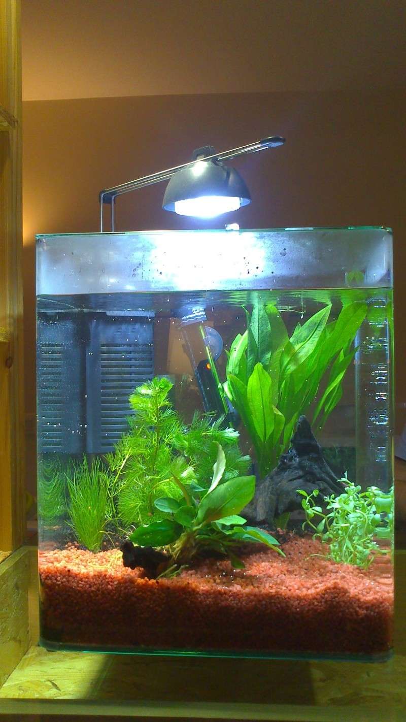 Chauffage aquarium 20l Valoo.fr