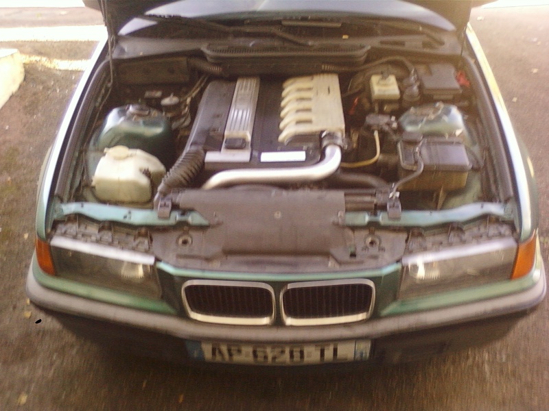 http://i56.servimg.com/u/f56/18/64/76/49/photo-37.jpg photo-37