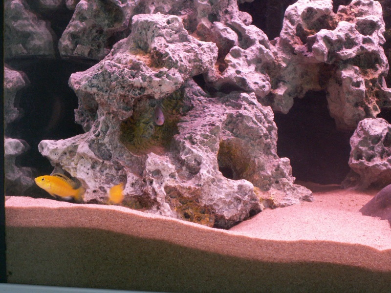 pict2612.jpg
