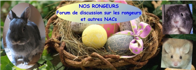 Nos Rongeurs