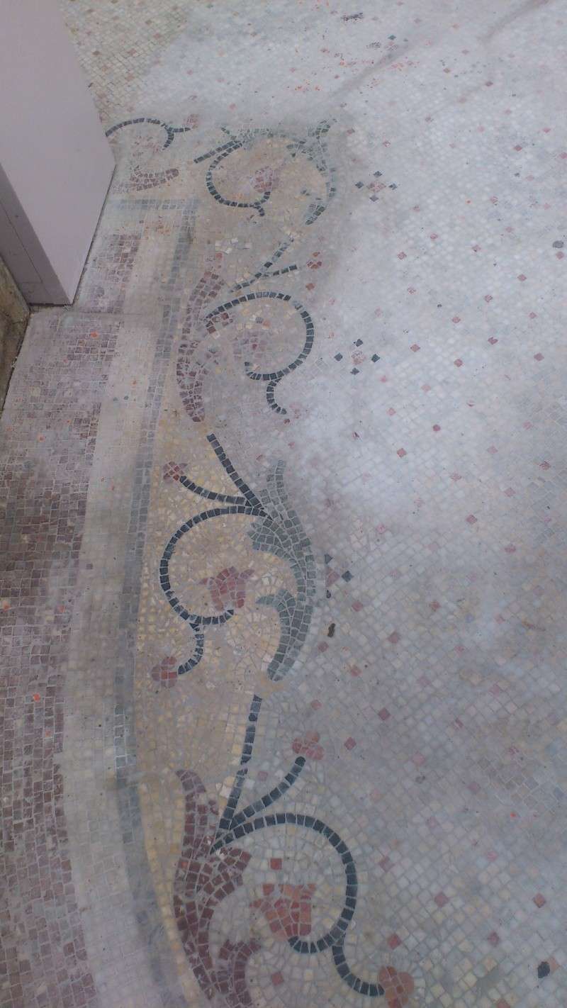 dsc_1311.jpg