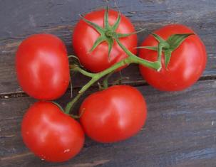 tomate10.jpg