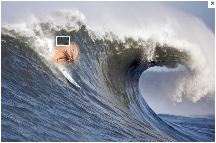 surf10.jpg