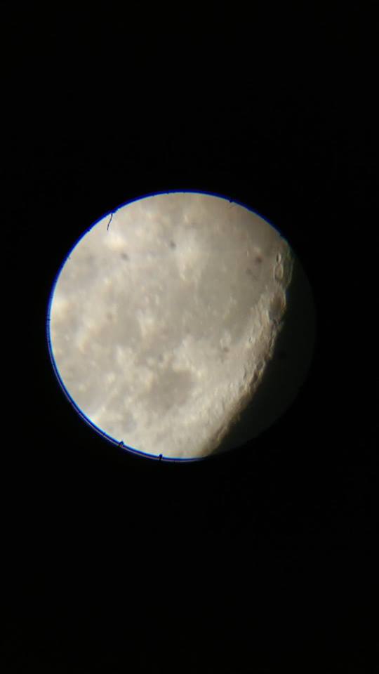 lune510.jpg