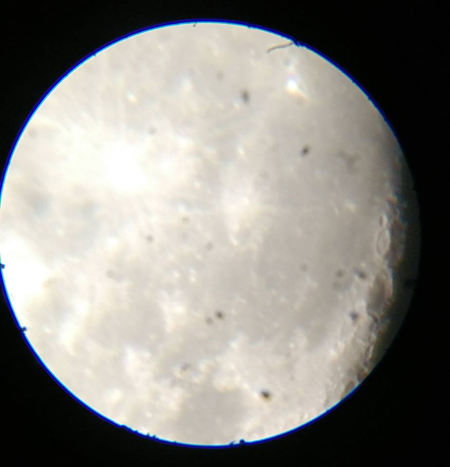 lune910.jpg